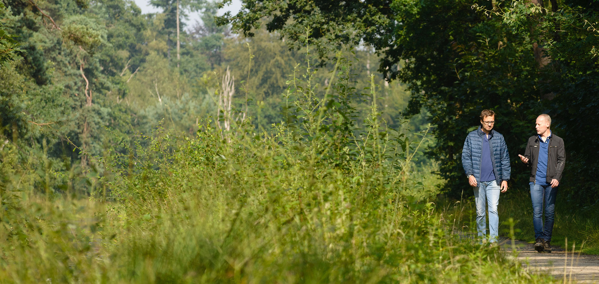 The Wake Up ontwikkeling